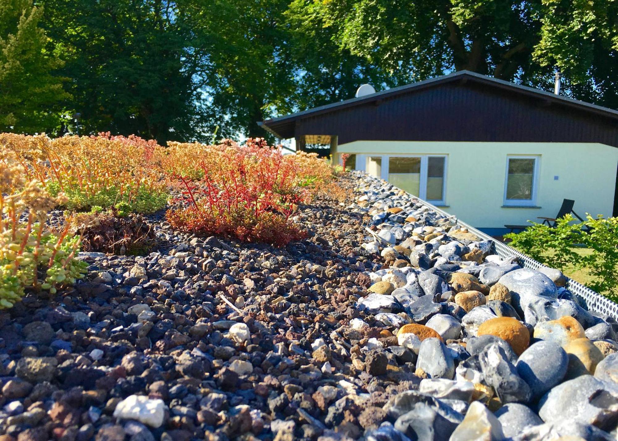 Ferienhaus Boddenhus Glowe Bagian luar foto
